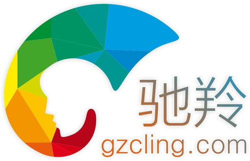 贵州驰羚品牌管理