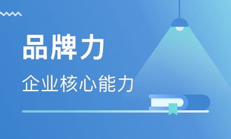 郑州品牌管理
