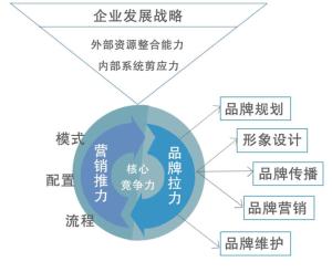 品牌管理咨询