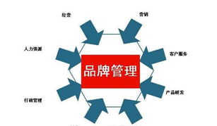 品牌管理
